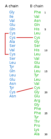 File:Insulin seq vertical.svg