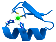 A twisted band, with one side painted blue and another gray. Its two ends are connected through some chemical species to a green atom (zinc).