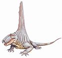 Dimetrodon angelensisDB.jpg