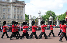 Lines of men wearing large black bearskin hats and red tunics.