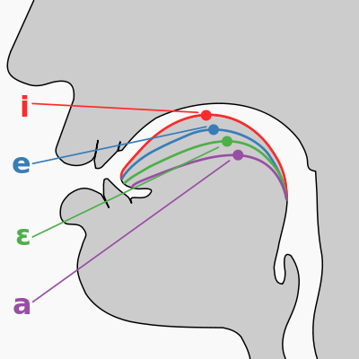 File:Cardinal vowel tongue position-front.svg