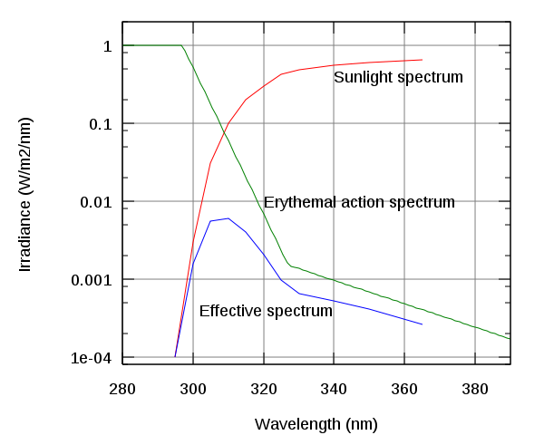 File:Erythemal action spectrum.svg