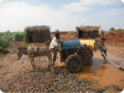 Dispatches from Ethiopia: Cart pulling water